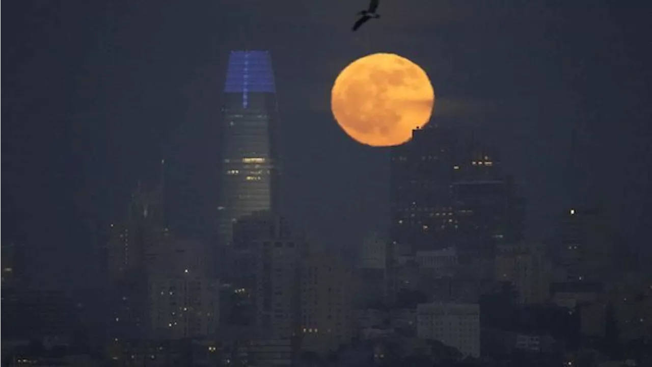 Kisah & Fakta Fenomena Langka Strawberry Moon, Ada Larangan di Bali