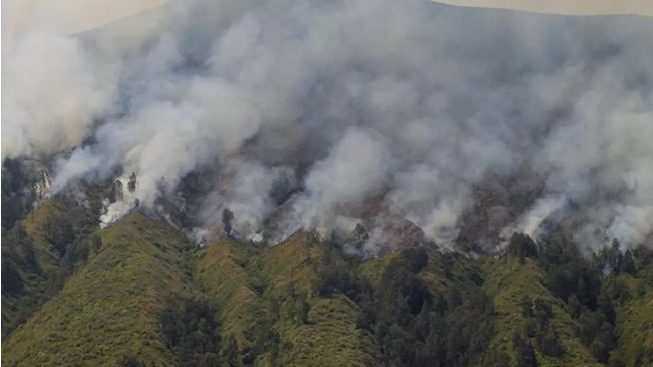 Kebakaran Hutan Kembali Terjadi di Kawasan Bromo