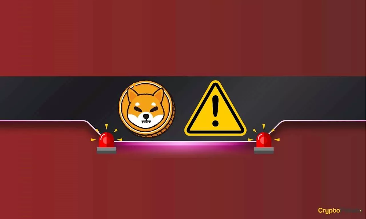 Important Warning From Shiba Inu Team Member as SHIB Burn Rate Drops 100%