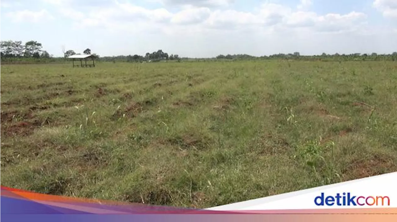 Penjualan Lahan Industri Laris Manis, Paling Banyak Diburu oleh Sektor Ini