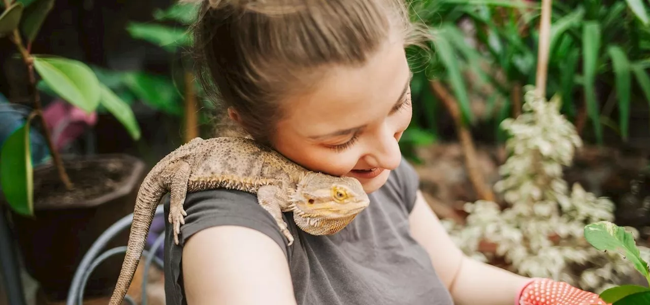 A Herpetologist Reveals The 3 ‘Hottest’ Pet Reptiles—And 4 That Have Fallen Out Of Fashion