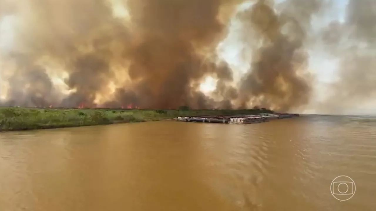 Bombeiros recebem reforço de aviões e helicópteros para combater incêndios no Pantanal