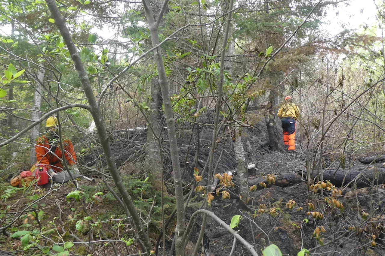 Forest fires force residents of Port-Cartier, Que. to evacuate