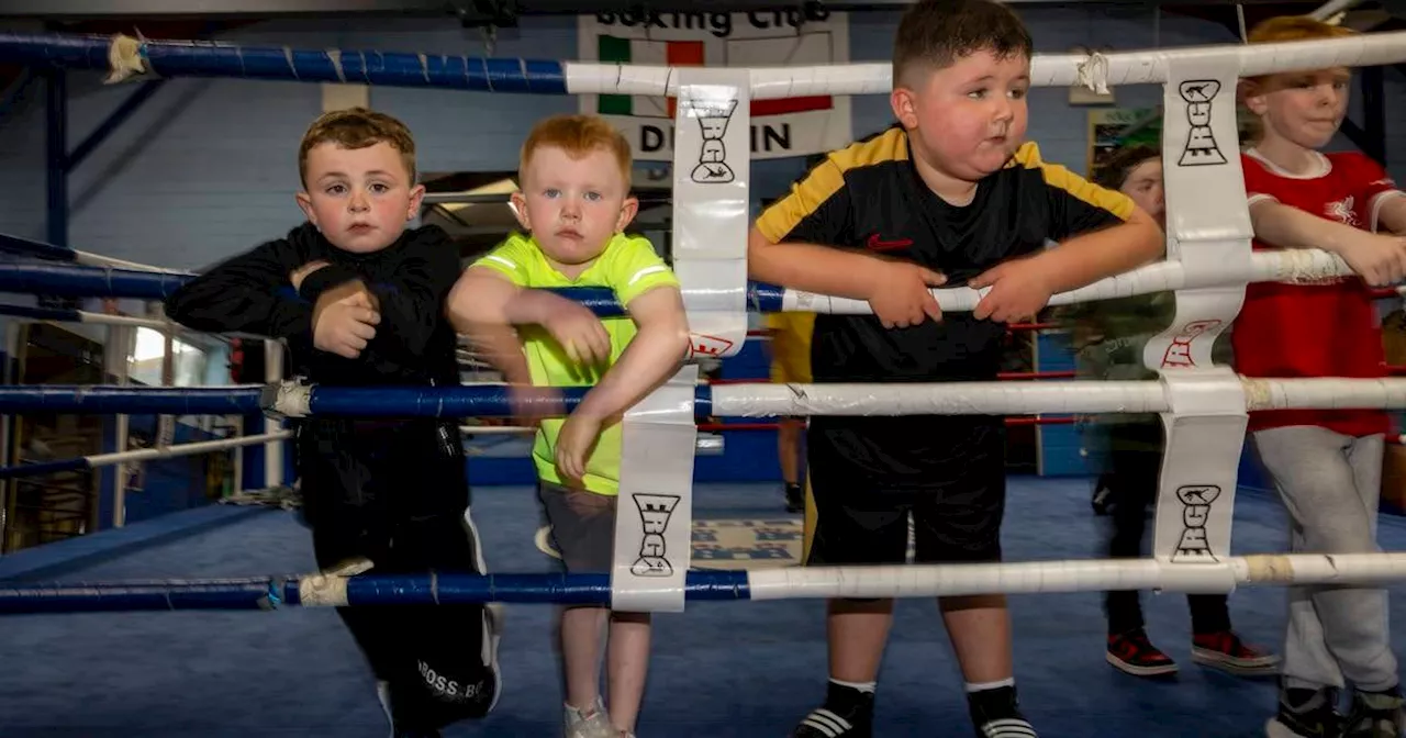 In pictures: The Tallaght boxing club punching above its weight