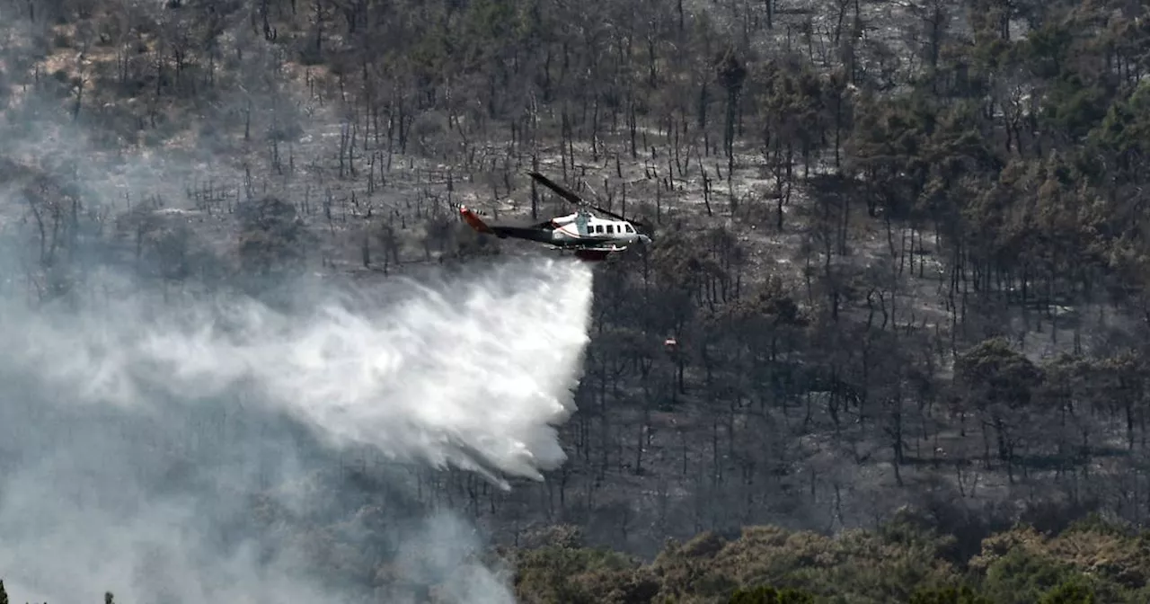 Thirteen arrested after fireworks from yacht allegedly spark forest fire on Greek island