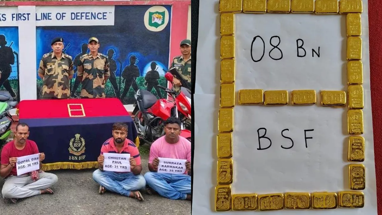 BSF ने भारत-बांग्लादेश सीमा पर तस्करी को किया विफल, 2 करोड़ 48 लाख का सोना बरामद; तीन तस्कर गिरफ्तार