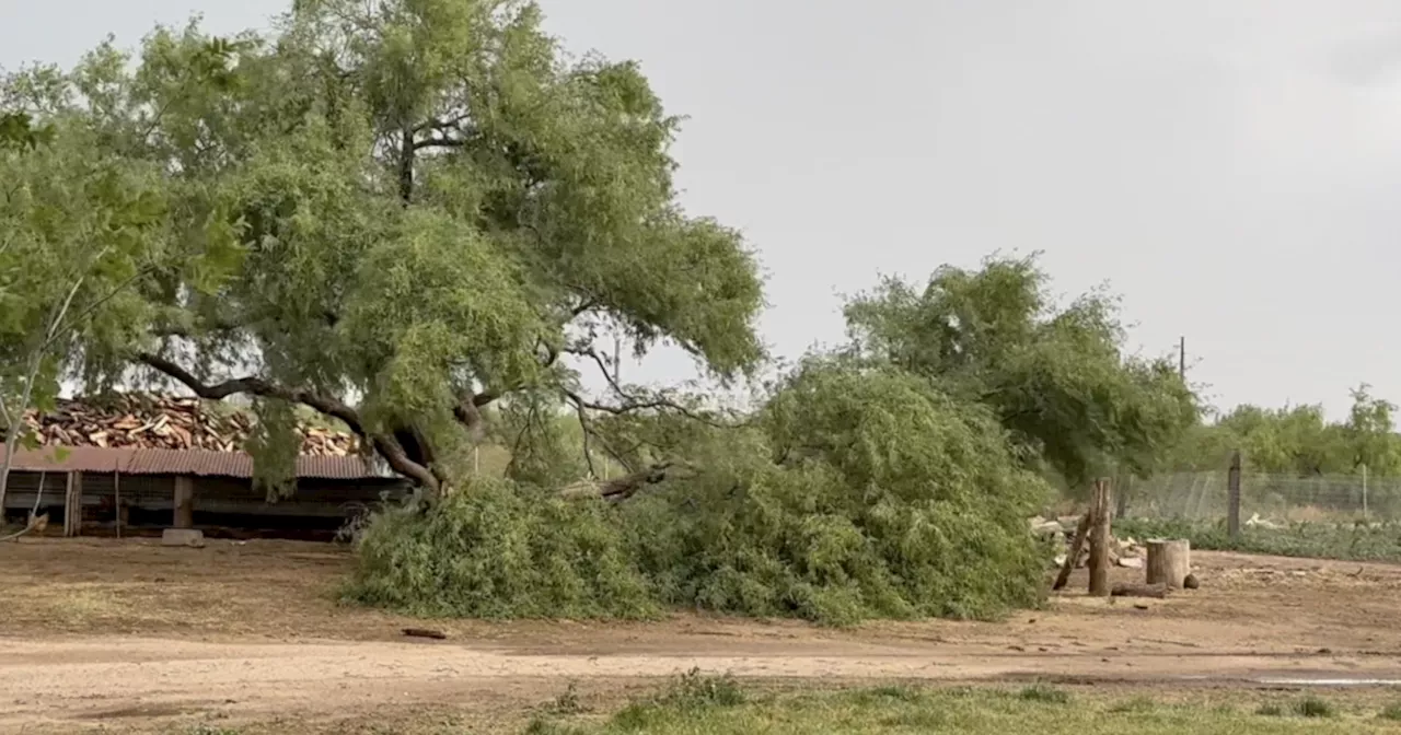 'I've never seen this in June' Monsoon storm causes damage to property on Southeast side