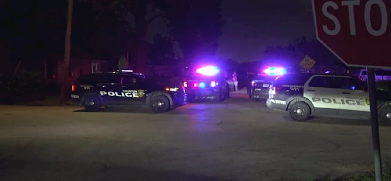 Man shot by neighbor while rummaging under carport in E Houston