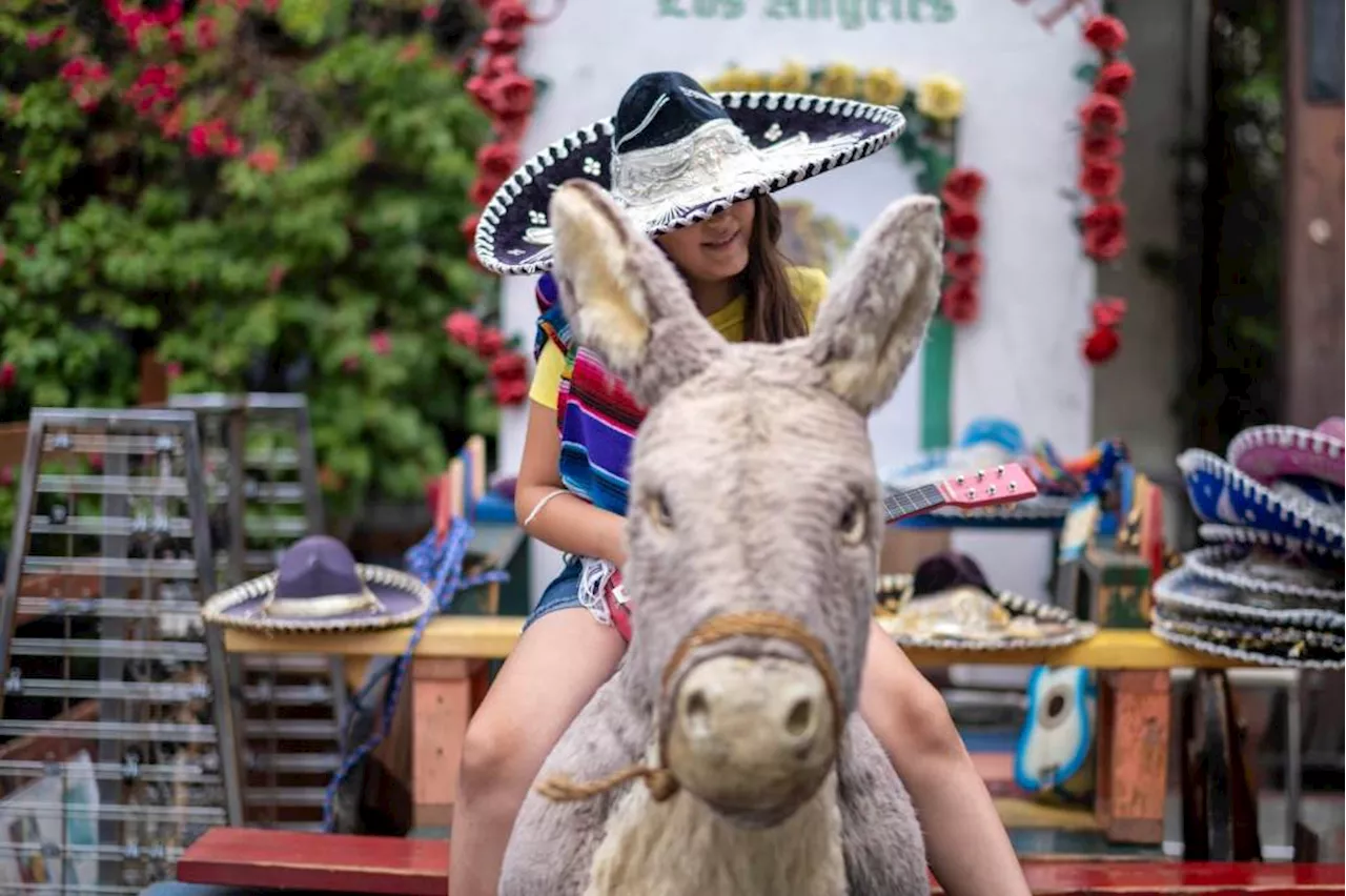 LA City Council OKs plan to save beloved El Burro on Olvera Street