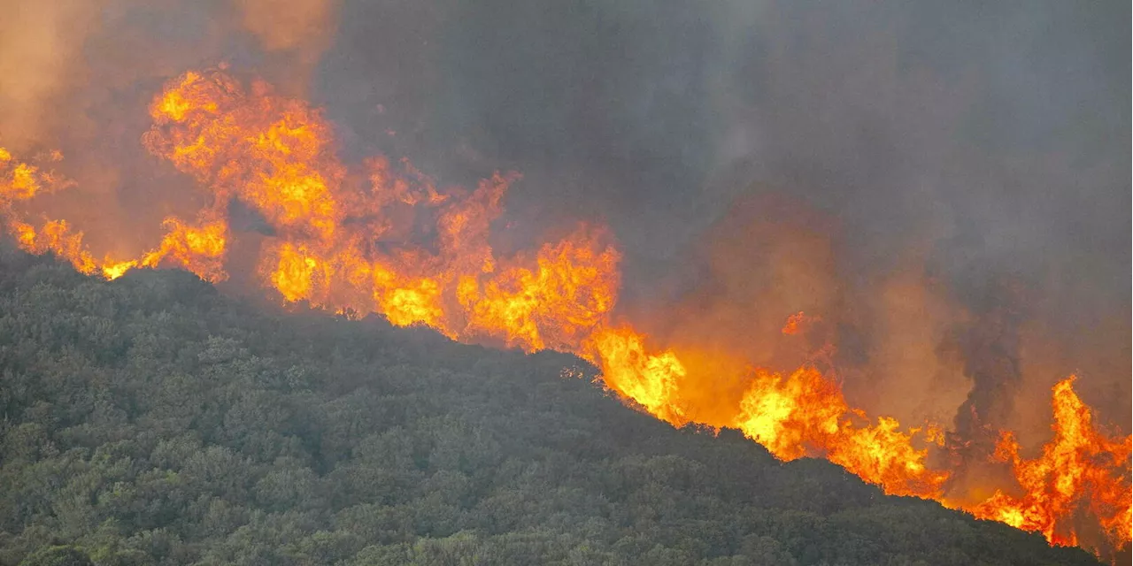 Grèce : une forêt incendiée par des feux d’artifice lancés depuis un yacht de luxe
