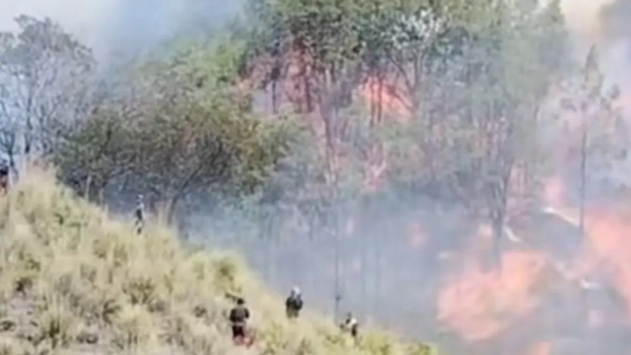 Gunung Bromo Kebakaran Lagi, Lokasinya Dekat Area Gunung Batok