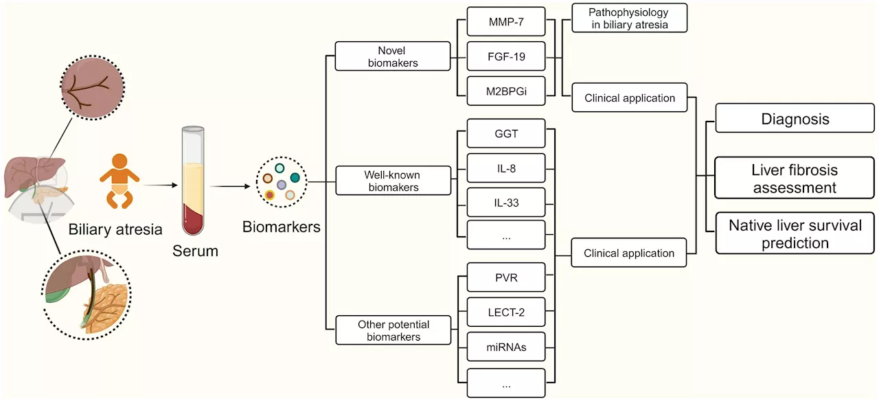 Progress in biomarkers related to biliary atresia