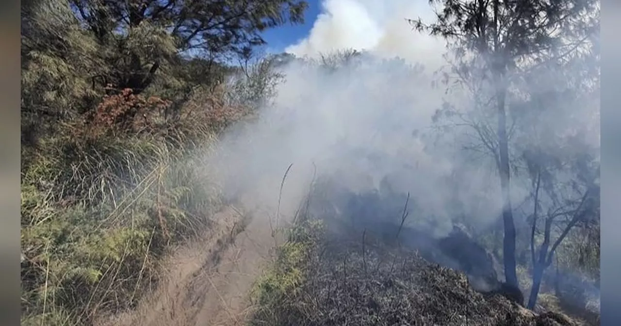 Savana Bromo Kembali Kebakaran, Api Belum Padam Sejak Selasa Malam