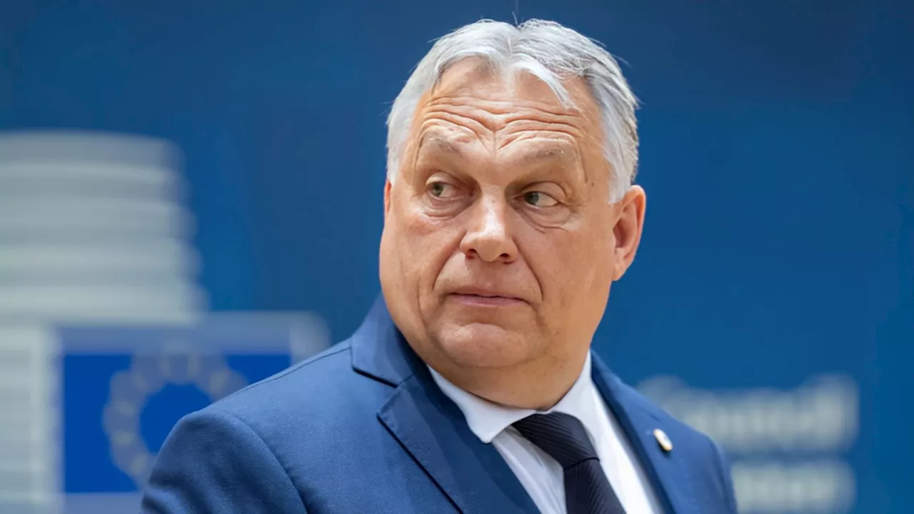 Orban lobt Scholz wegen Asyl-Plänen: „Habe recht behalten“