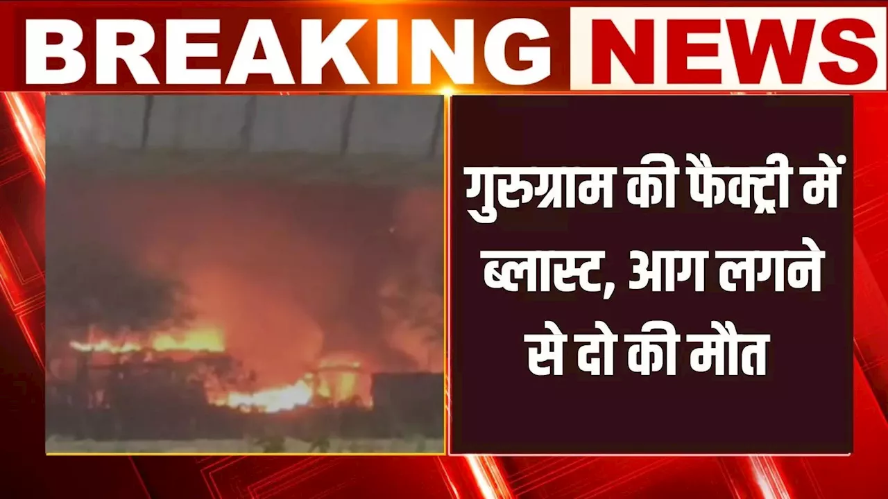 गुरुग्राम के दौलताबाद की एक फैक्ट्री में कई ब्लास्ट के बाद लगी भीषण आग, अब तक दो की मौत