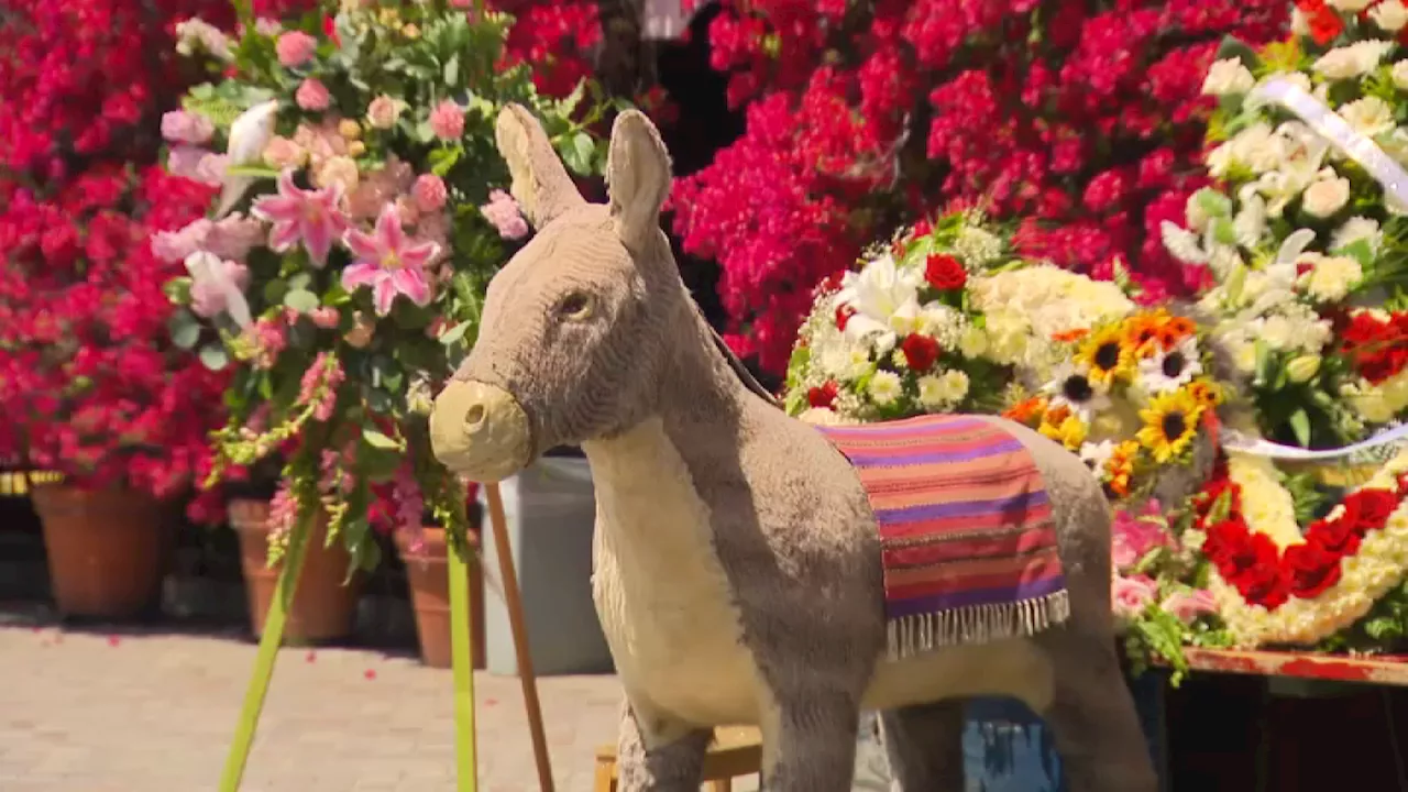 Plans to save beloved Olvera Street burro move forward