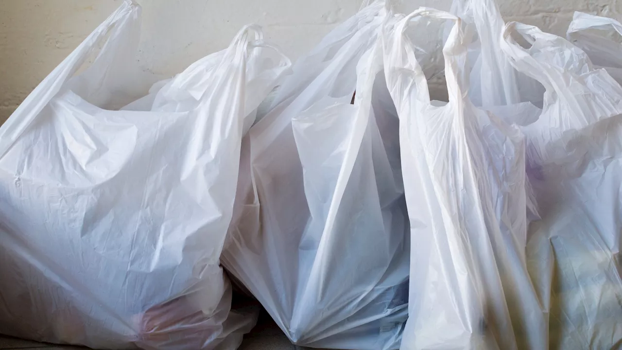 Senate in Massachusetts passes bill curtailing use of plastics including bags, straws​