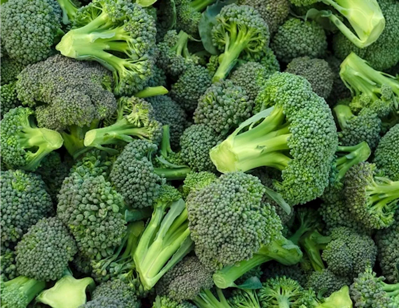 Unlocking broccoli's genome: Key to enhanced health benefits