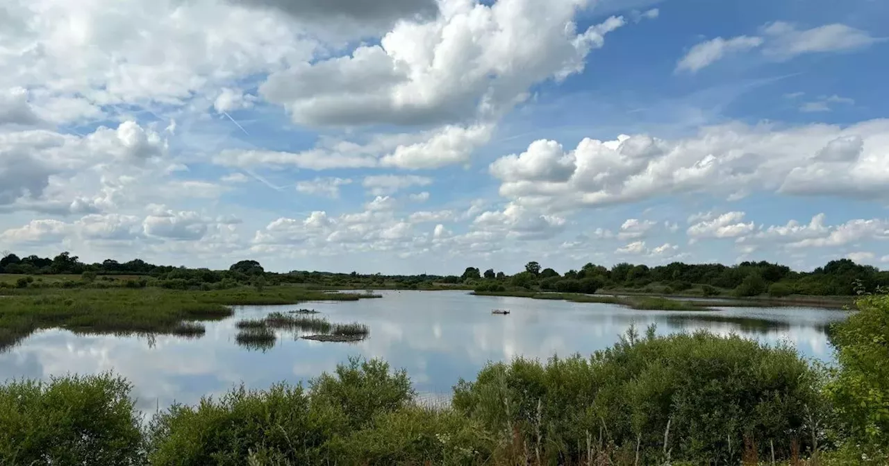 Stunning nature reserve full of wildlife, lagoons and a floating bridge