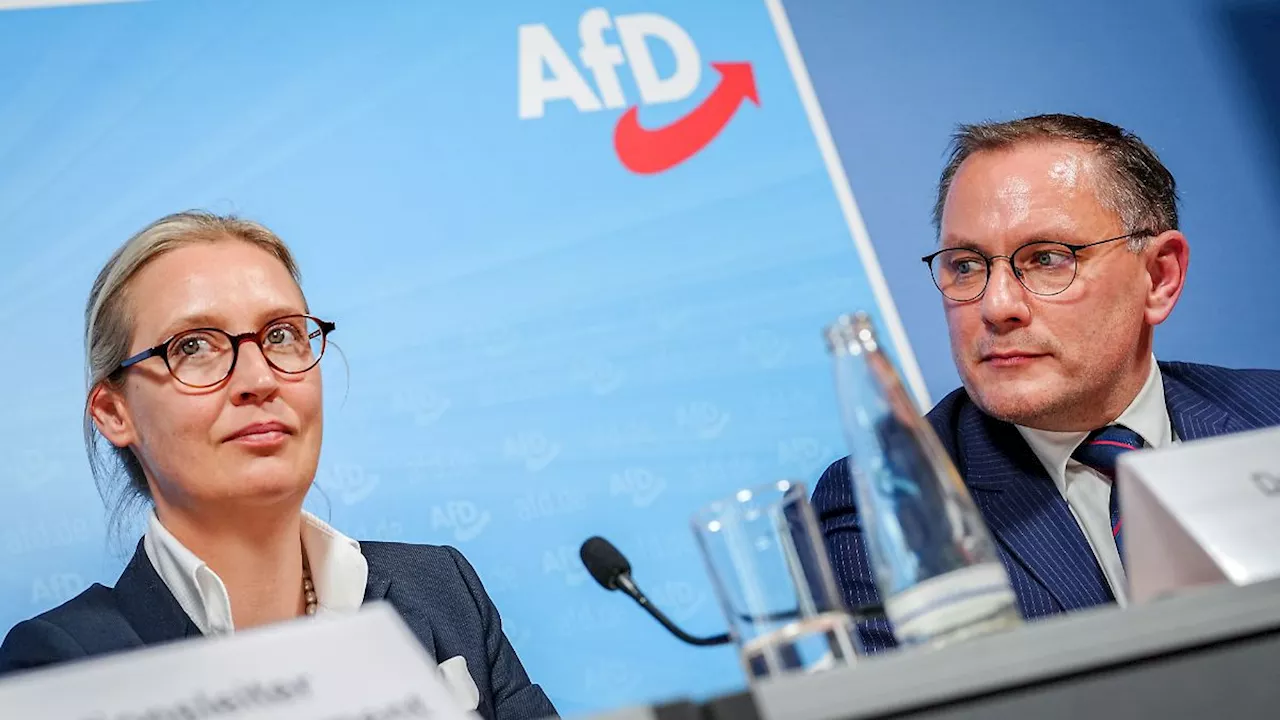 'Die Souveränisten': AfD plant wohl neue Rechtsaußen-Fraktion im EU-Parlament