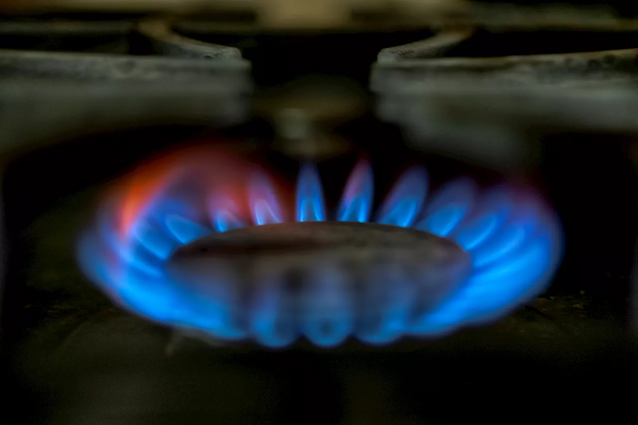 Warning labels are next fight in left's pointless war over gas stoves