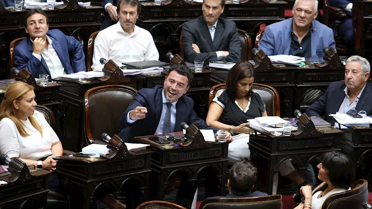 Cómo votarán los radicales en Diputados la ley Bases