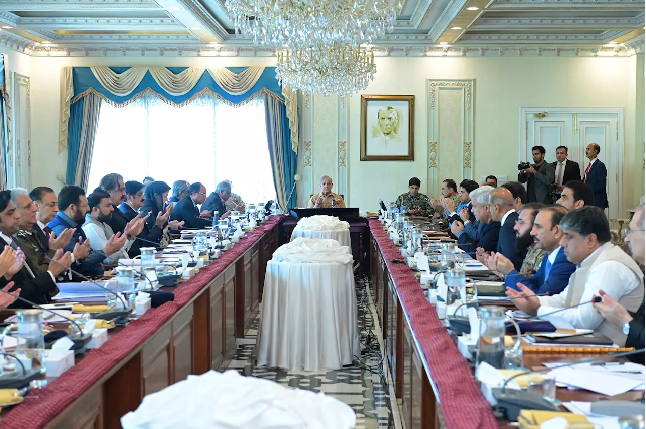 Prime Minister Muhammad Shehbaz Sharif chairs a meeting of Central Apex Committee of National Action Plan on 22 June 2024.