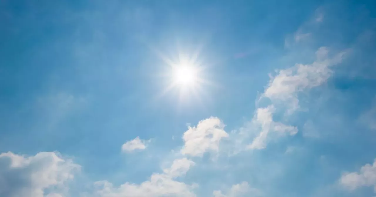 Met Éireann confirm sizzling 23 degrees with high pollen count reported