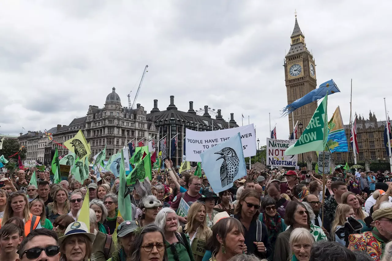 'Restaurem a natureza agora': Milhares de pessoas marcharam pelas ruas de Londres pela proteção da natureza