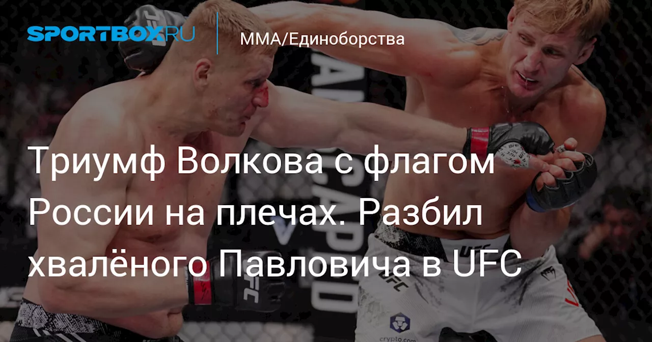 Триумф Волкова с флагом России на плечах. Разбил хвалёного Павловича в UFC