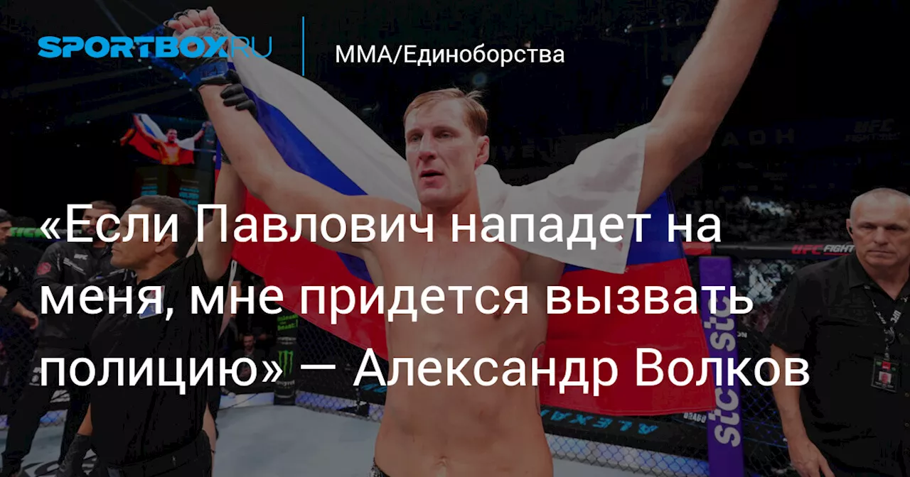 «Если Павлович нападет на меня, мне придется вызвать полицию» — Александр Волков