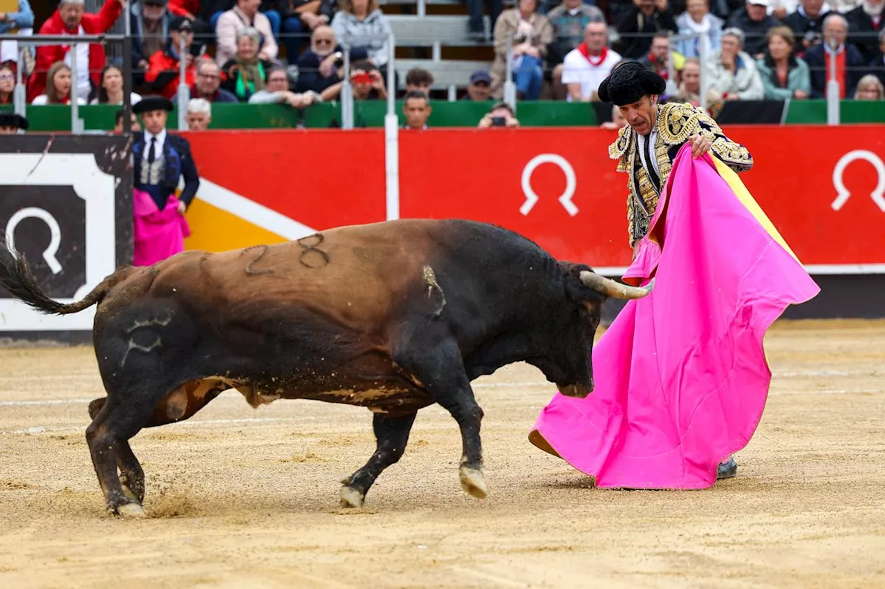 Corrida de La Brède : même la pluie n’est pas en droit de gâcher le toreo