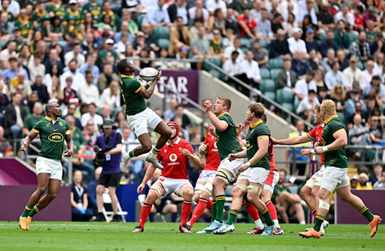 South Africa too strong for Wales in first Test since World Cup triumph