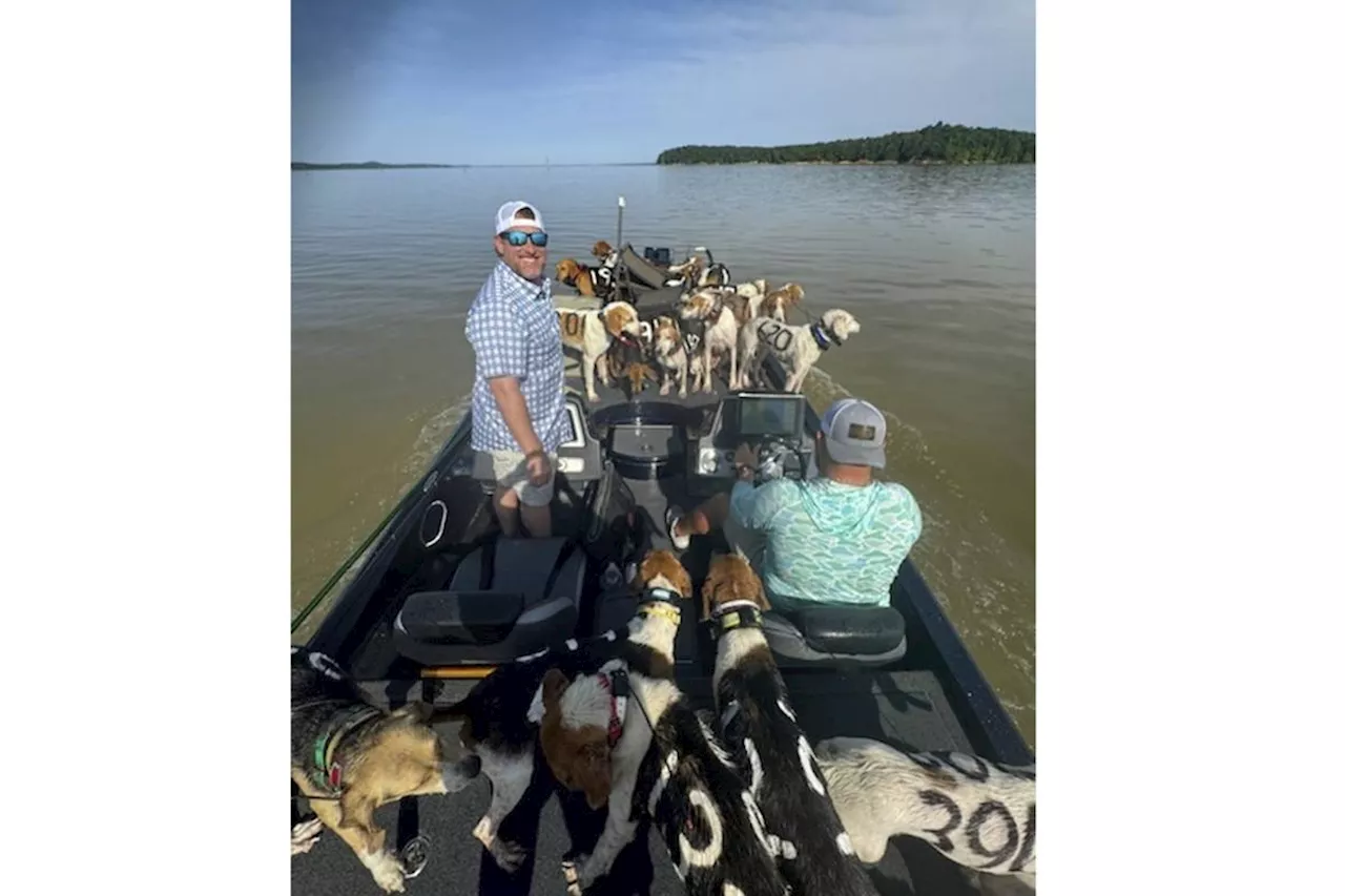 38 dogs rescued from near-drowning on Mississippi lake