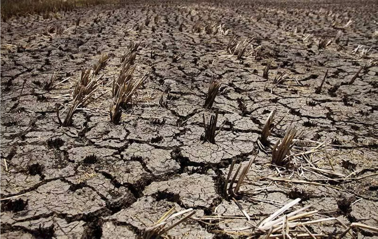 Govt releases P9B in El Niño assistance