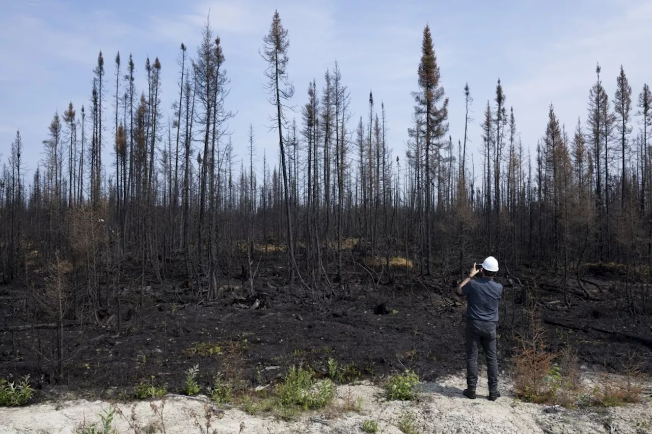 Port-Cartier, Que. officials say forest fire situation unchanged after evacuations