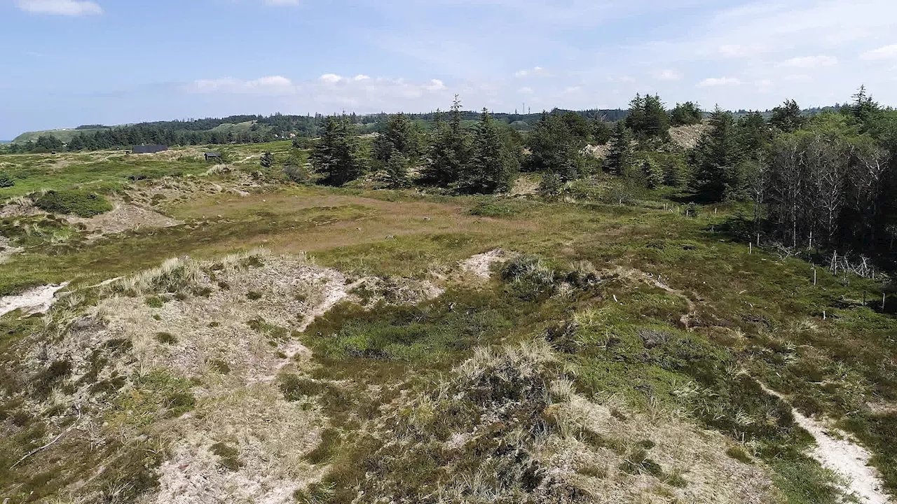 200 år efter kongen omtalte unikt naturområde, sikres det