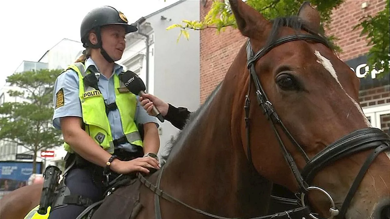 Berit og hesten Simonsen patruljerer i Herning: - Vi har et godt overblik