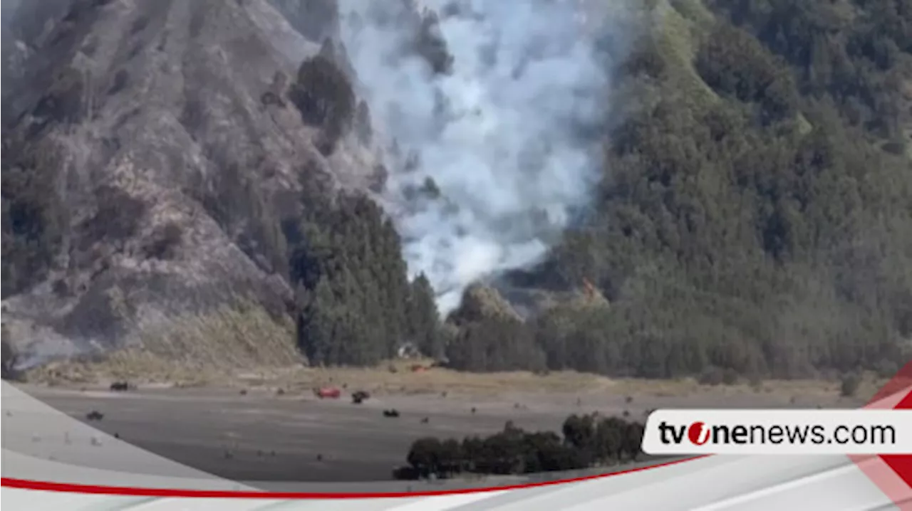 Kebakaran Landa Lereng Gunung Batok, di Kawasan Bromo Kabupaten Probolinggo