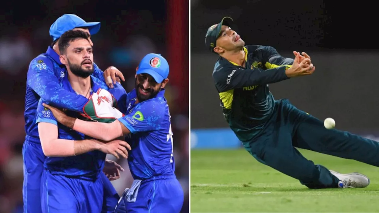 Australia lose to Afghanistan in disastrous T20 World Cup performance