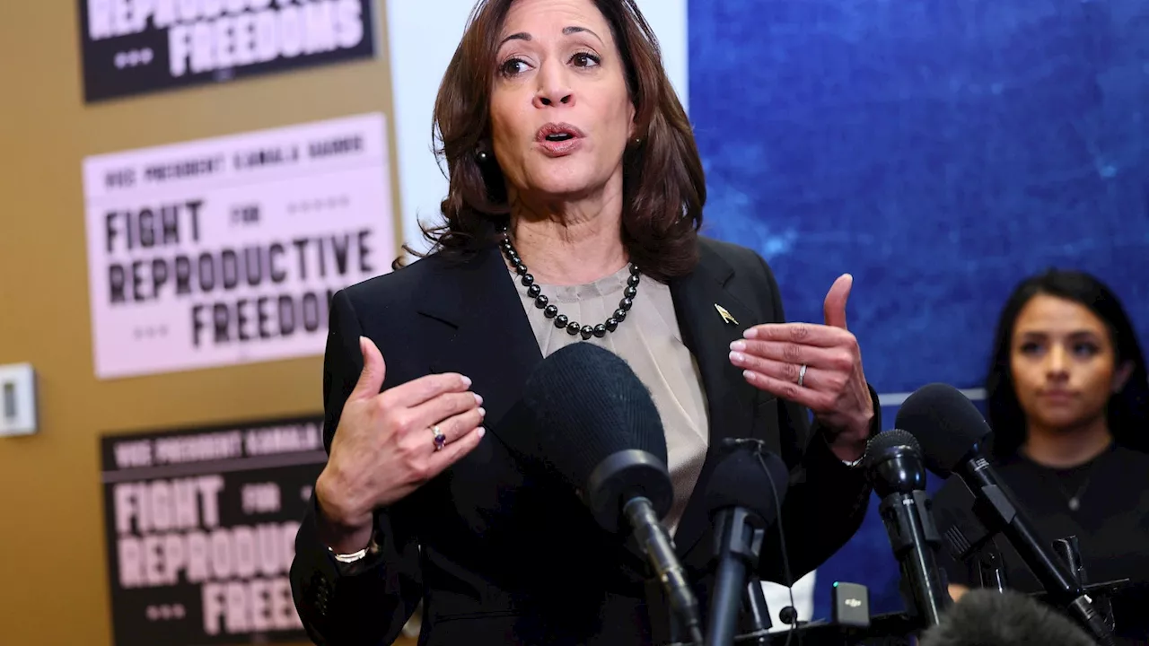 'Everything is at stake' for reproductive rights in 2024, Harris says