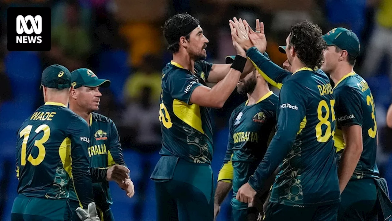 Australia vs Afghanistan T20 World Cup live updates — blog, scores and stats