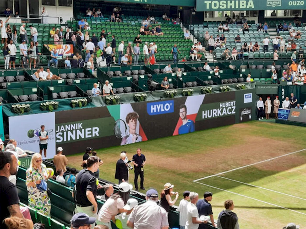 Jannick Sinner vince il torneo di halle contro Hurkacz