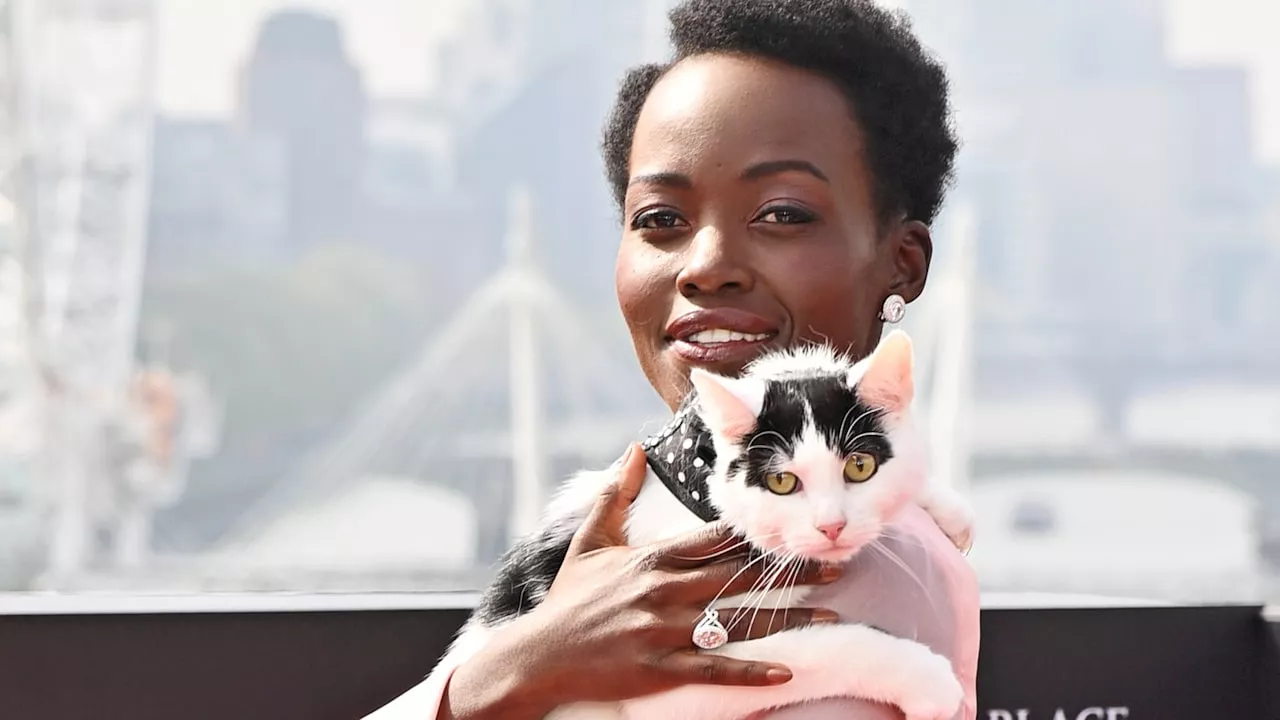 Lupita Nyong‘o: In Therapie wegen Katzen-Angst