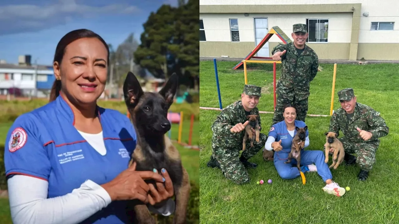 Ejército Nacional entrena a sus caninos en Chiquinquirá: Luz Mary, ejemplo de zootecnista