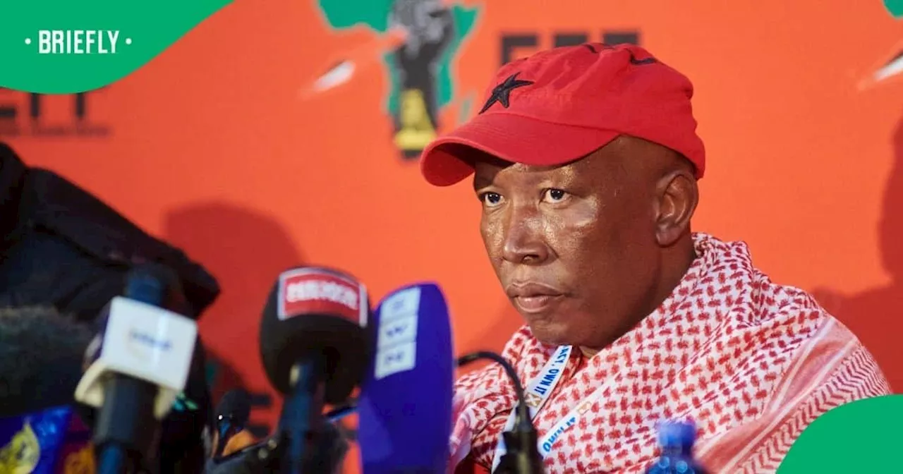 “RDP Houses in Orania”: Julius Malema Reiterates EFF’s Stance on Joining GNU