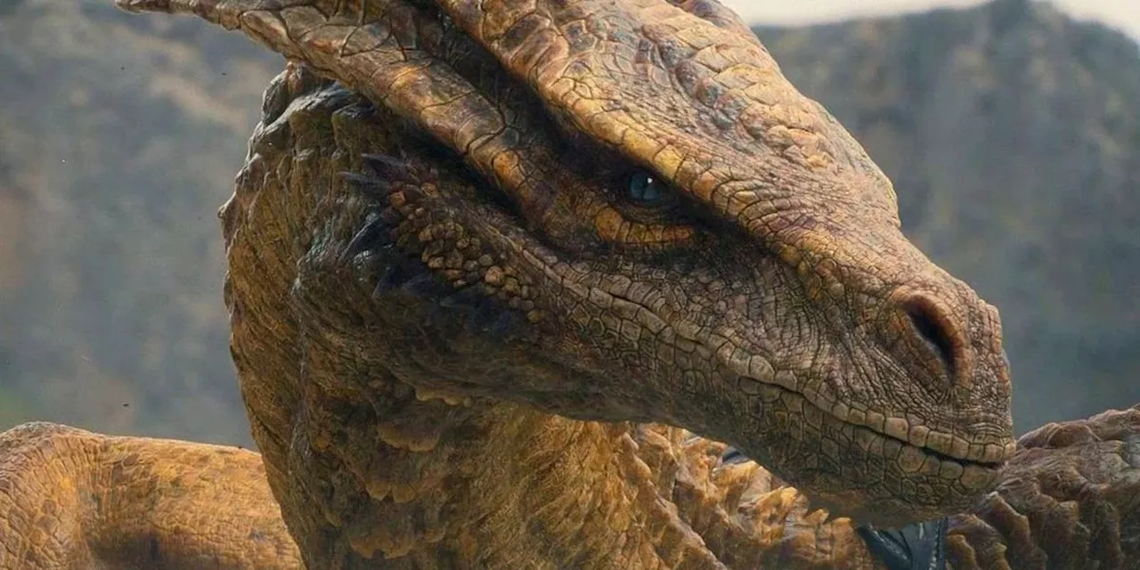 Every Dragon in 'House of the Dragon,' Ranked