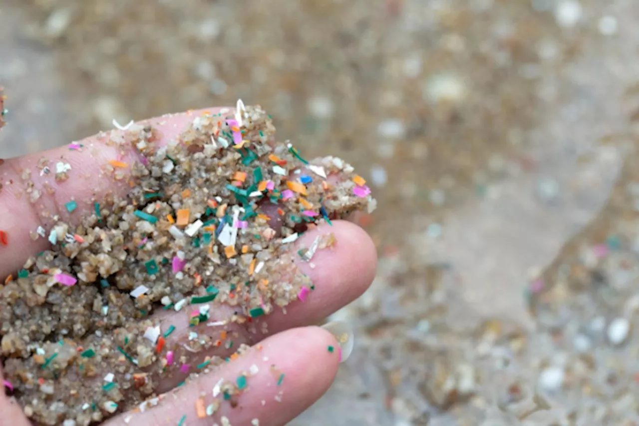 More studies needed on dealing with microplastic pollution