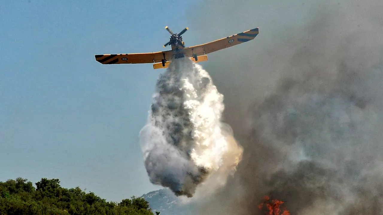 Jacht-Touristen: Dreizehn Verdächtige nach Waldbrand auf Hydra festgenommen