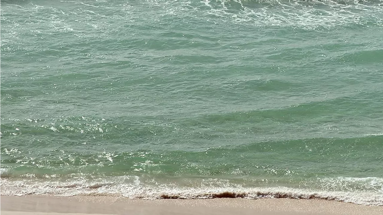 3 Alabama men die after becoming distressed while swimming at Florida beach